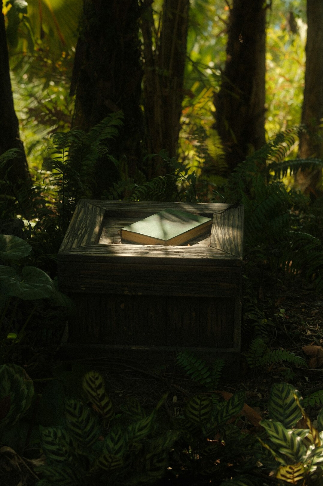 Mystery box with clues, envelopes and a magnifying glass